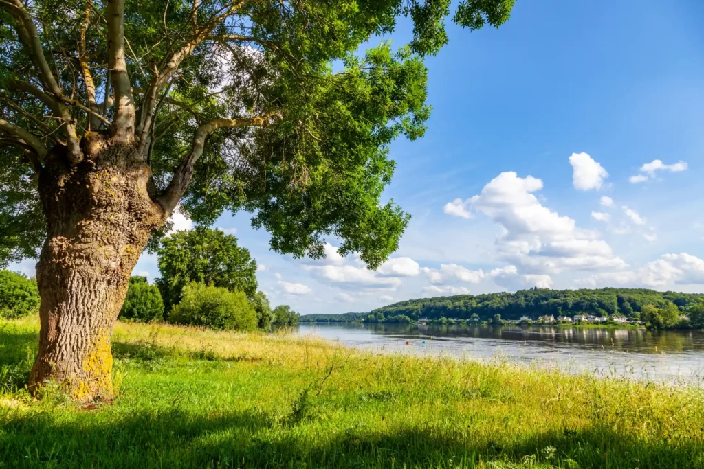 descente en canoë sur la Loire vers St-Martin-de-la-Place