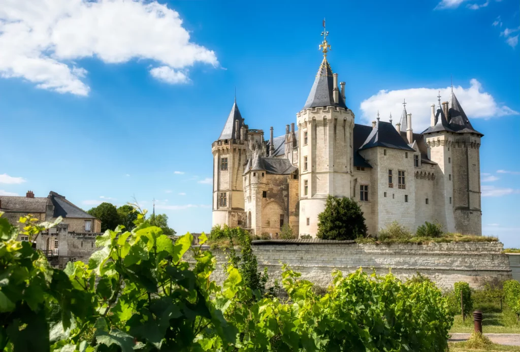 Vue du Château de Saumur à proximité du camping