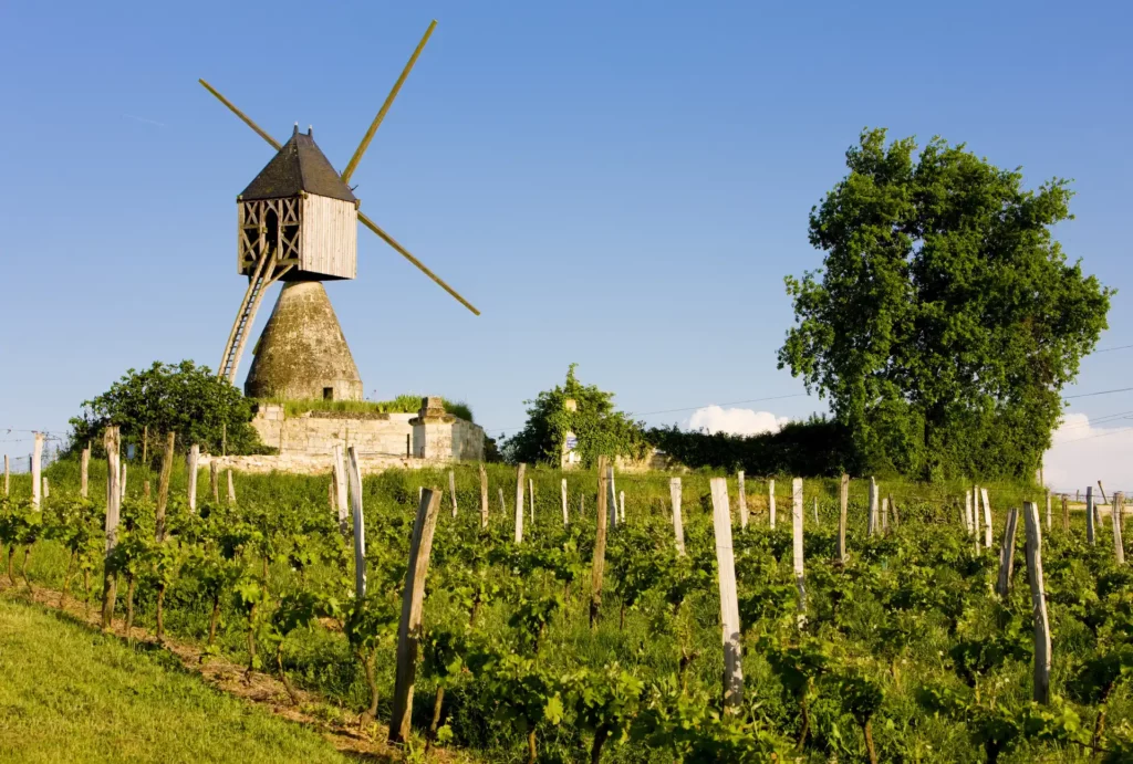 Moulin et Vignoble à Montsoreau