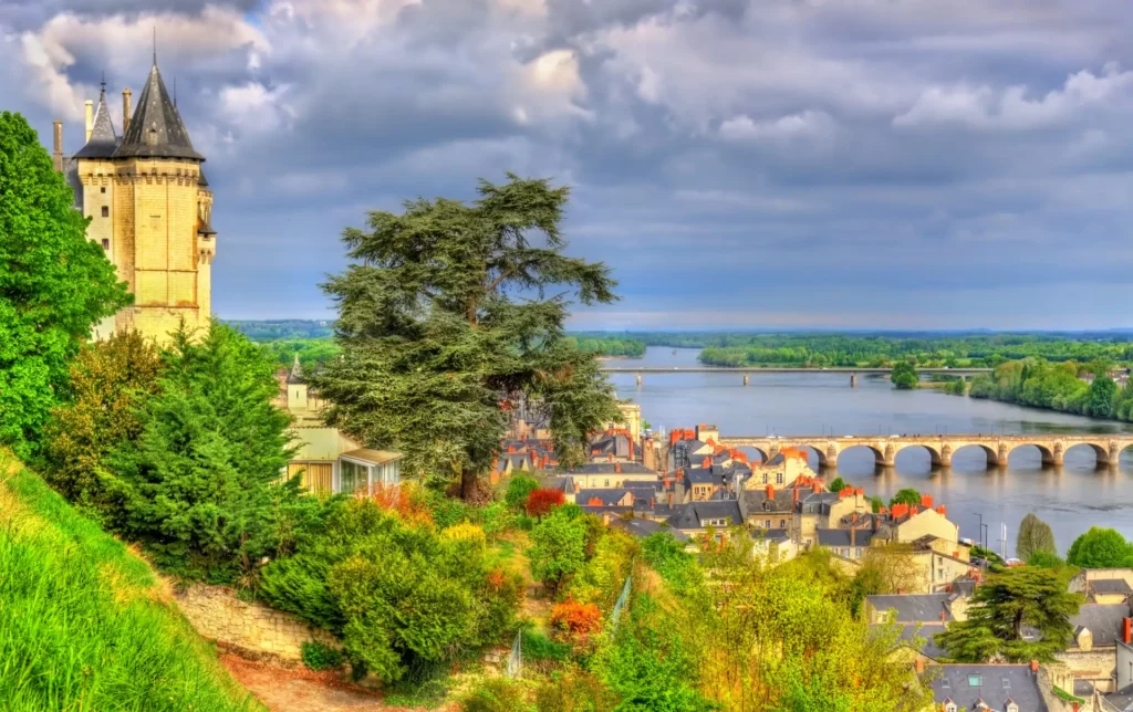 vue sur la ville de Saumur et son château